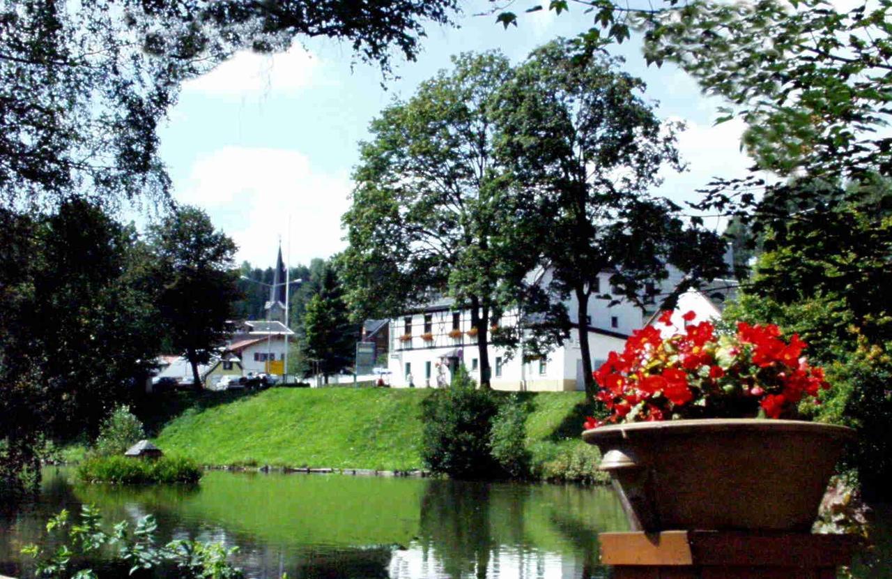 Hotel Gasthof Zum Walfisch Klingenthal Esterno foto