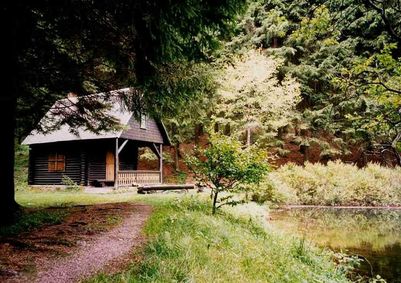 Hotel Gasthof Zum Walfisch Klingenthal Esterno foto